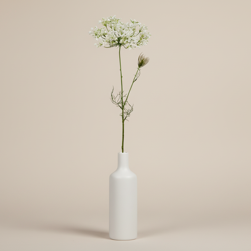 Allium 60cm, Vit