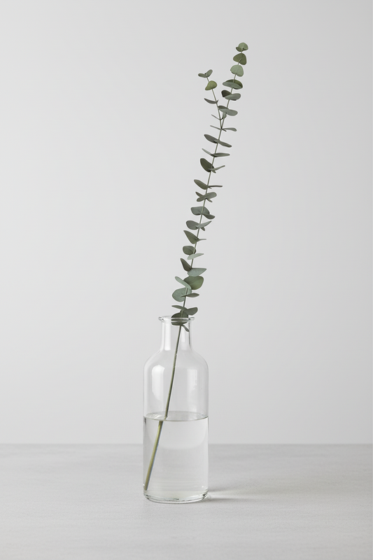 Eucalyptus storbladig 120cm, grön