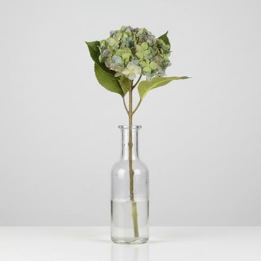 Hortensia 40cm, Blå