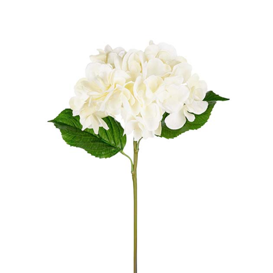 Hortensia Real Touch Hvid, 55cm