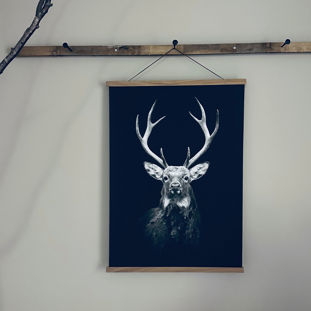 Canvasposter Hjort