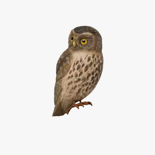 Dekorationsfågel, Uggla