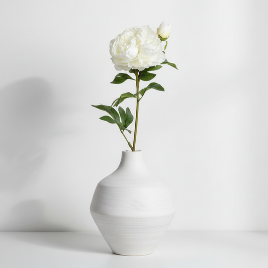 Pion 65cm, Vit