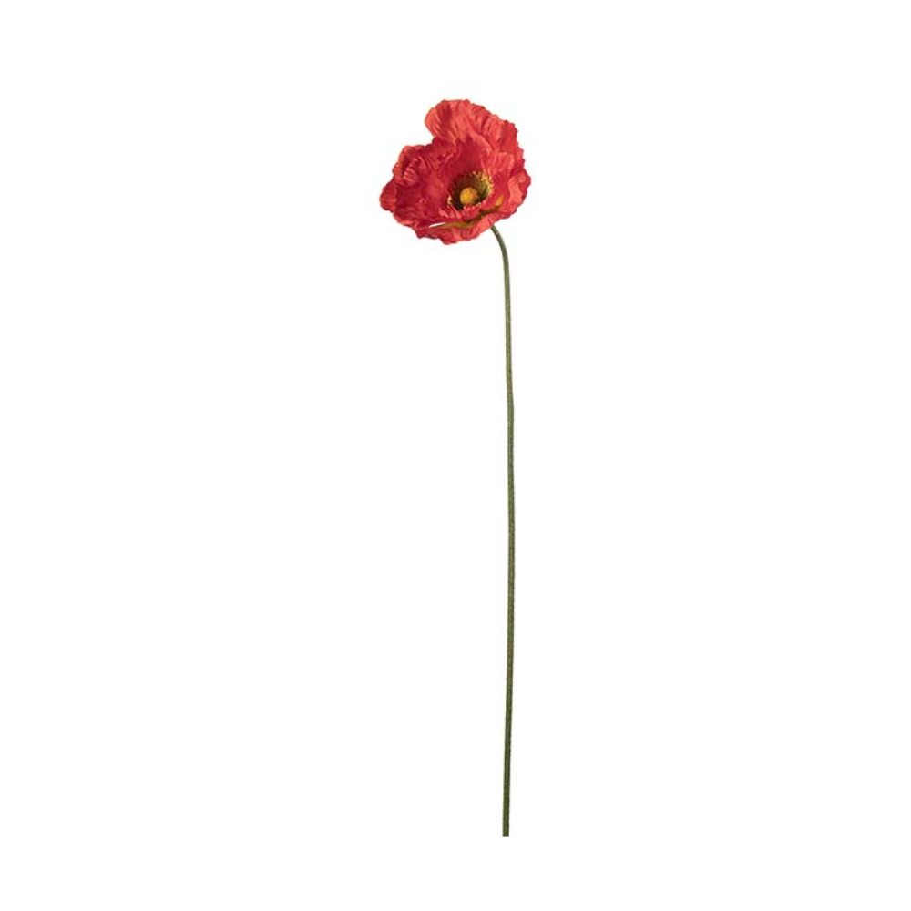 Vallmo Röd 75cm
