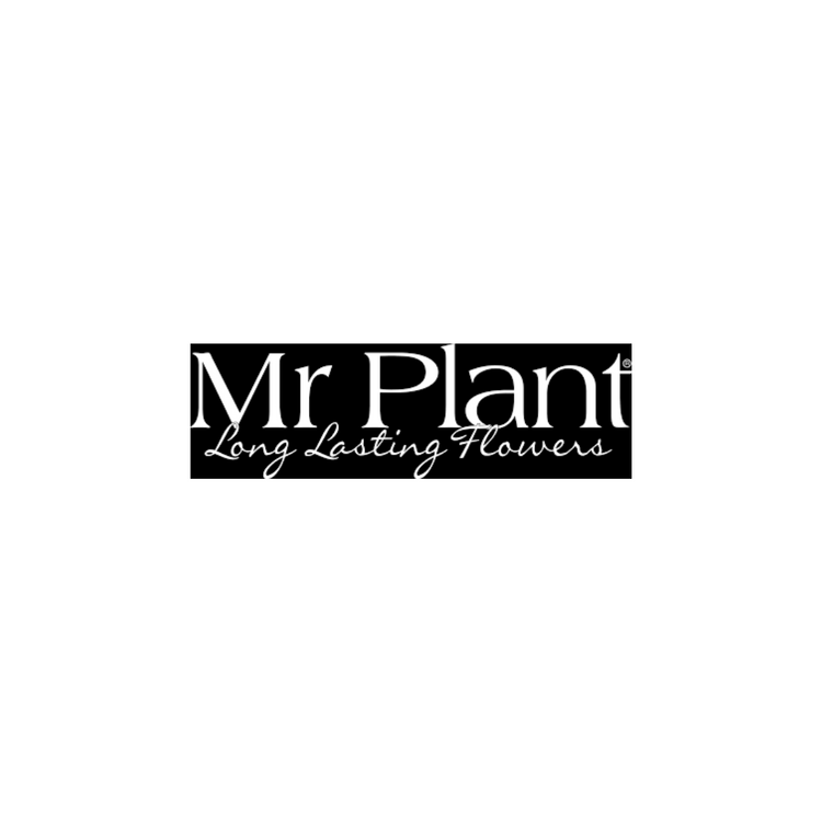 Mr Plant