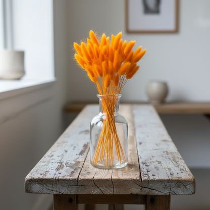 Lagurus (Harehale) 80 g, Orange