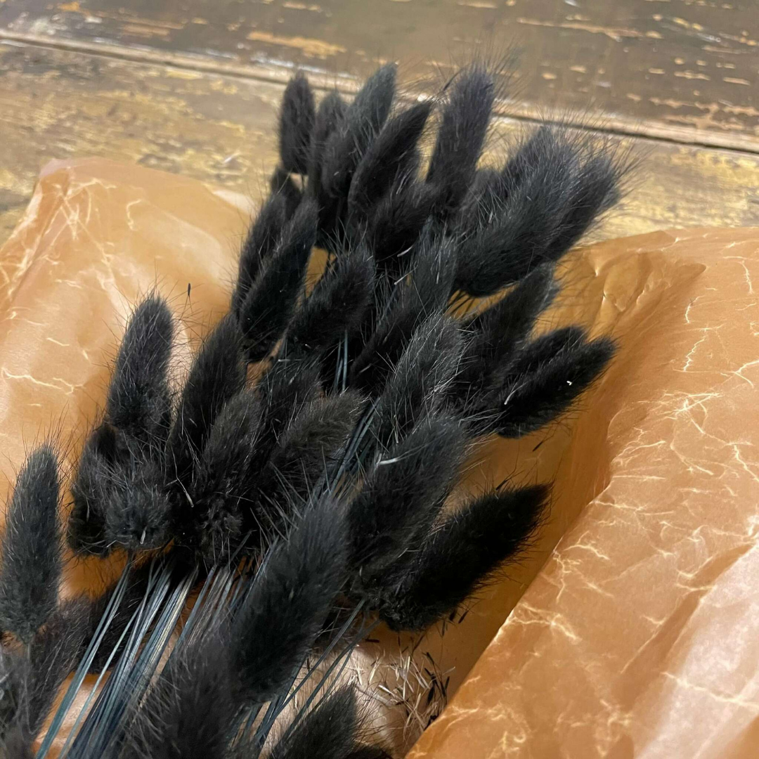 Lagurus Rabbit tail 80gr, Svart