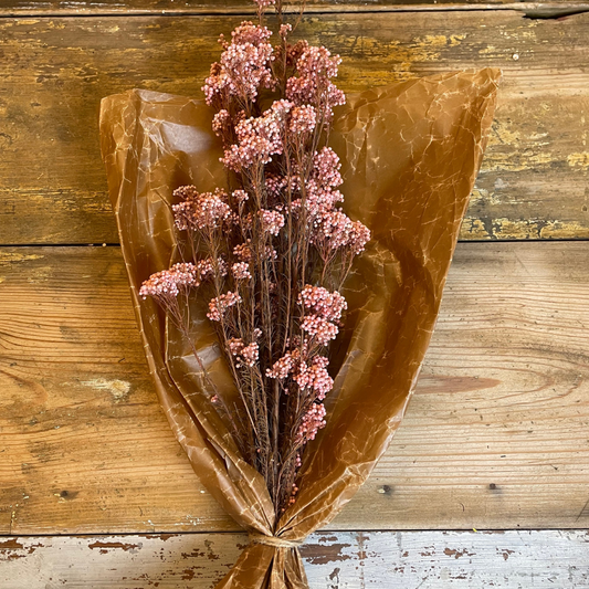 Diosmi Rice Flower 100gr, Rosa