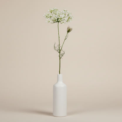 Allium 60cm, Vit