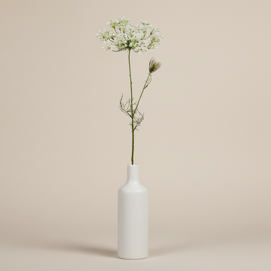 Allium 60cm, Vit