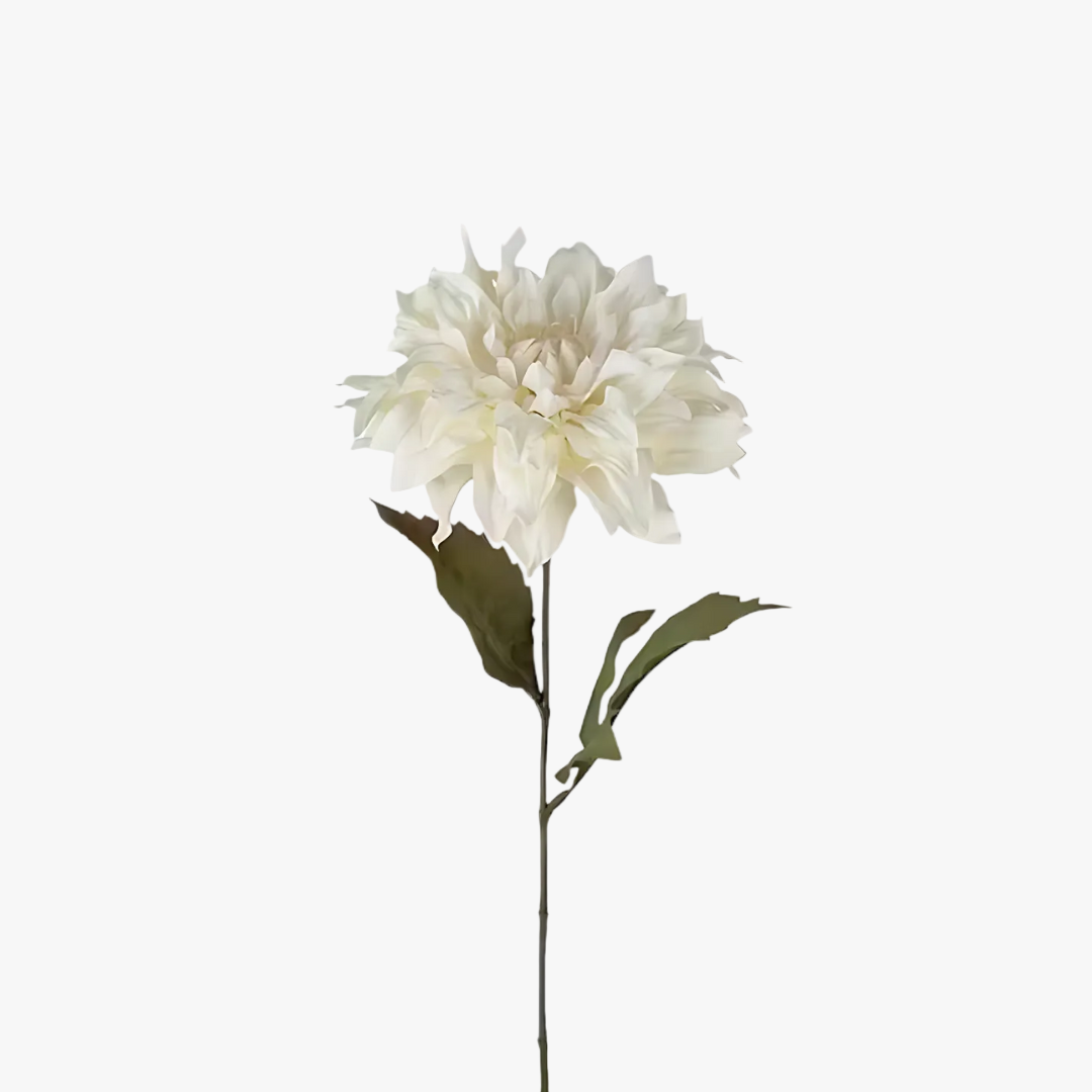 Dahlia 60cm, Cream