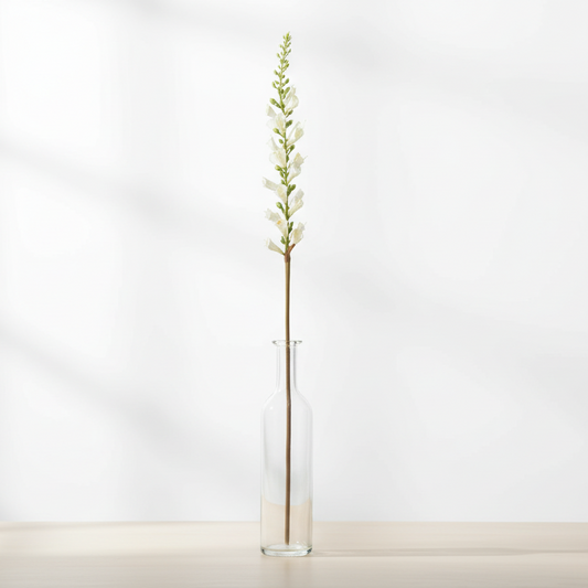 Digitalis Cream 60cm