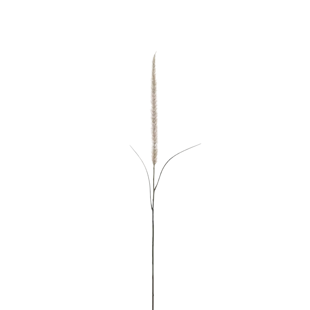 Fjäderborstgräs 105cm, natur