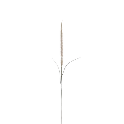 Fjäderborstgräs 105cm, natur