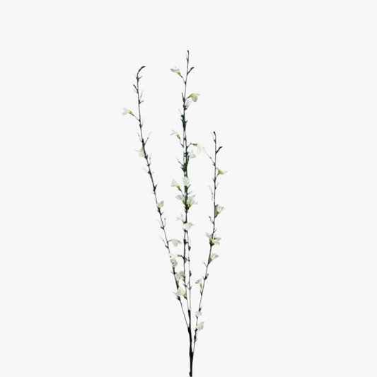 Ginst 80cm, grön