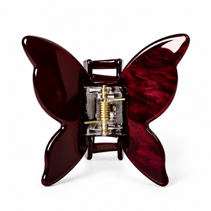 Hair claw butterfly, Black