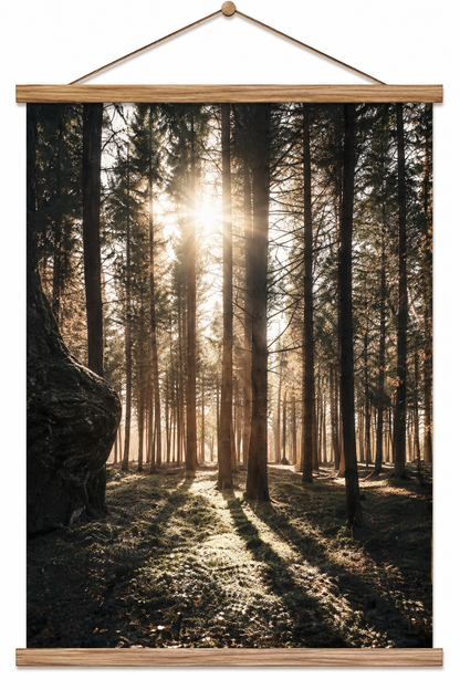 Canvas poster with magnetic wooden frame
