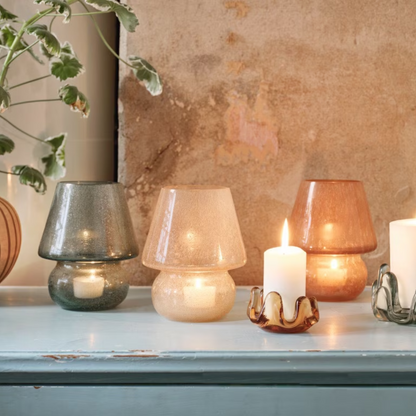 Candle lantern mushroom