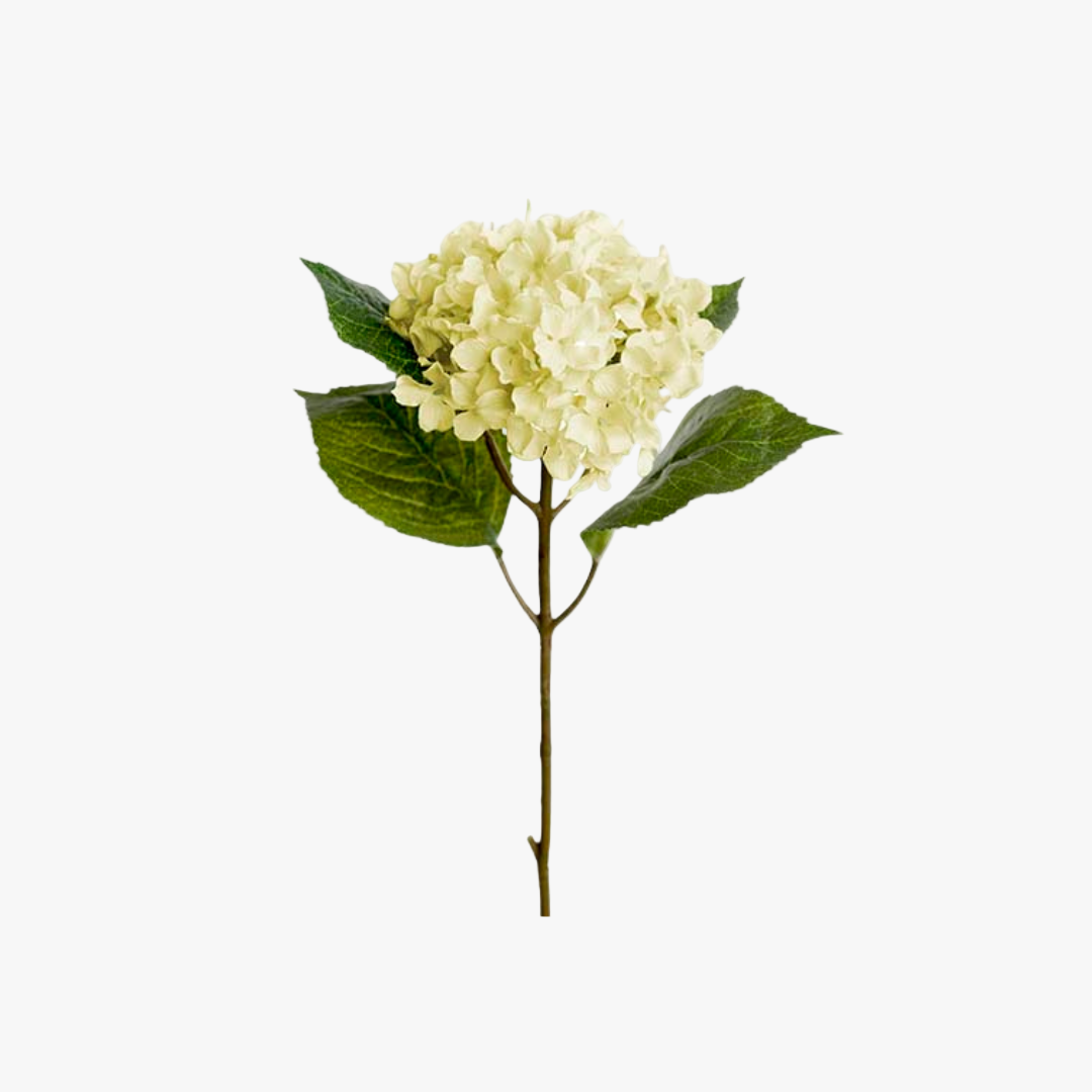 Hortensia 40cm, Hvid