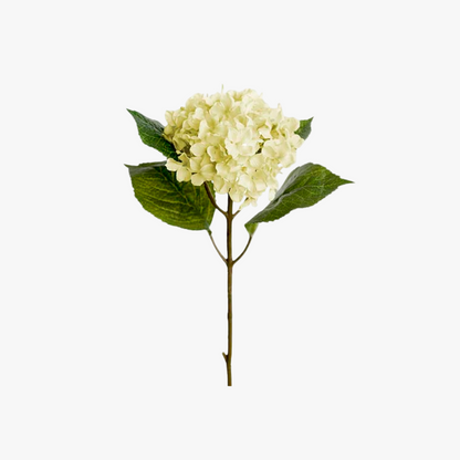 Hortensia 40cm, Hvid