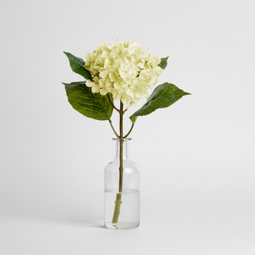 Hortensia 40cm, Hvid