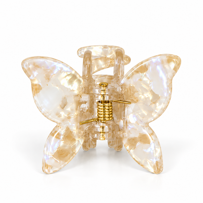 Hair claw butterfly, Black