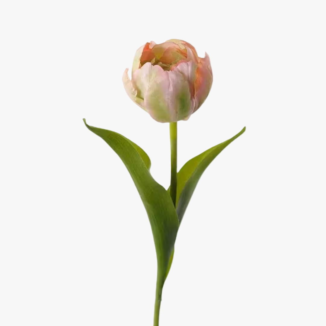 Tulpan 35cm, Rosa
