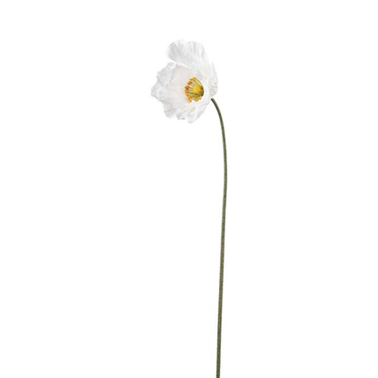 Vallmo Cream 75cm