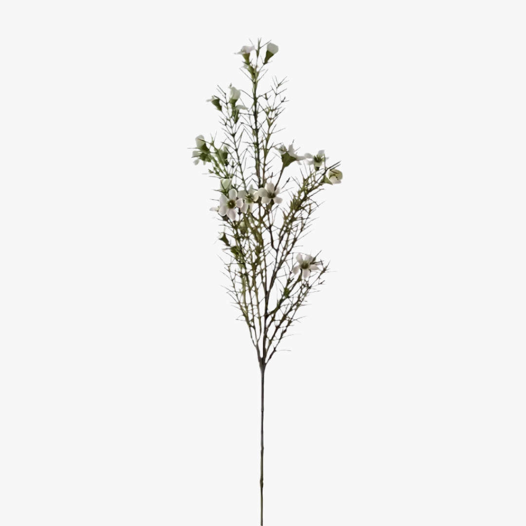 Voksblomst 60cm, Hvid