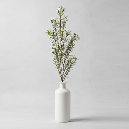Voksblomst 60cm, Hvid