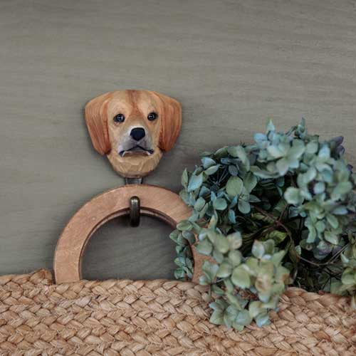 Krok,  Golden Retriever