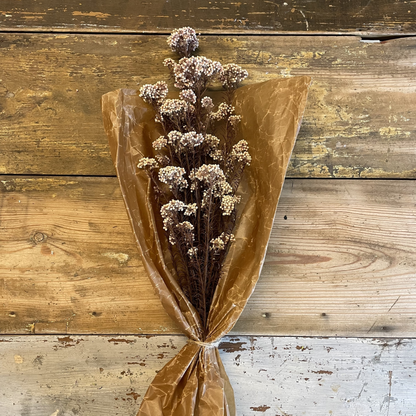 Diosmi Rice Flower 100 g, Rød