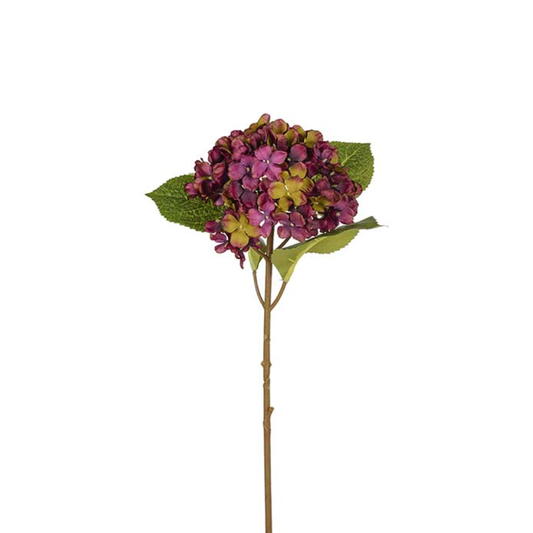 Hortensia 40cm, Vinröd