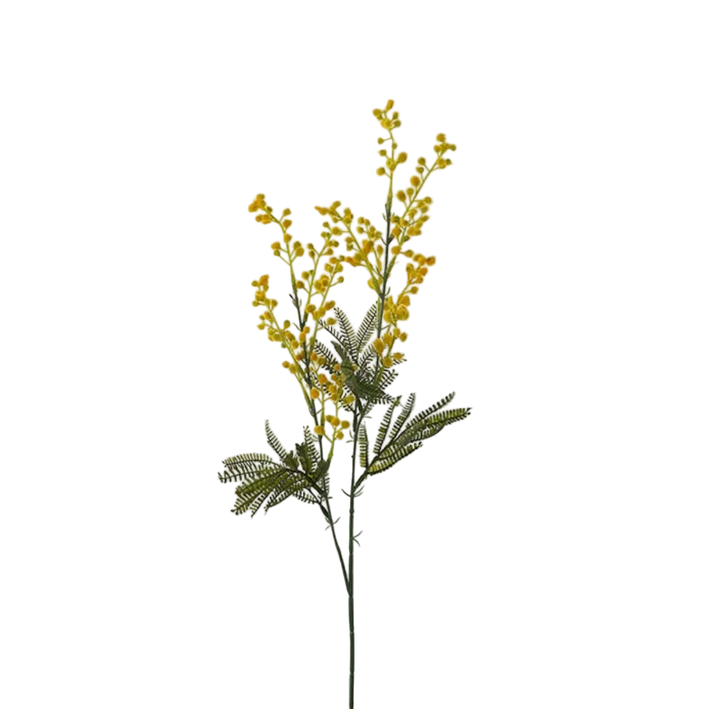 Mimosa 75cm