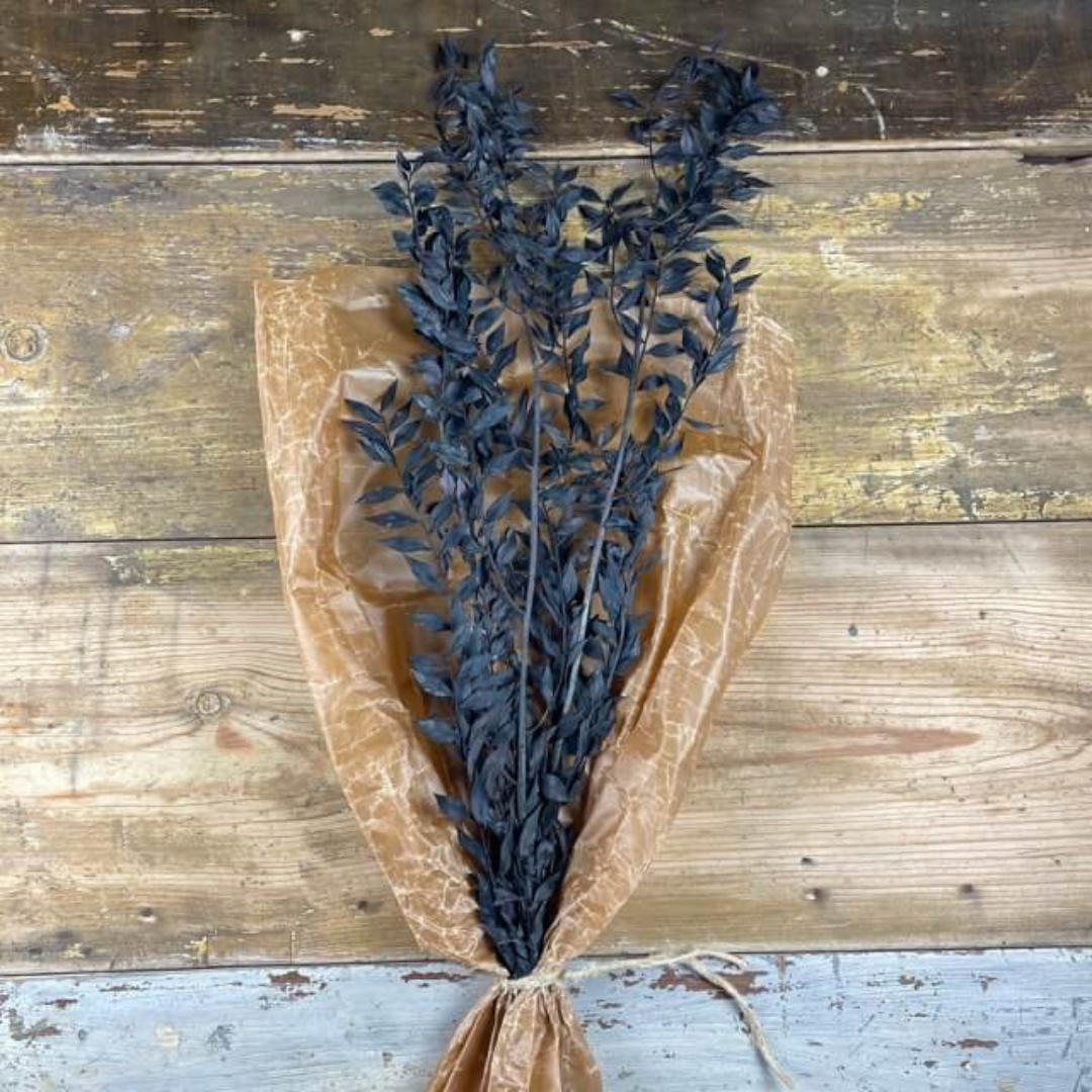 Ruscus 100gr, Svart