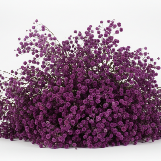 Brudeslør 120 gram, Lilla