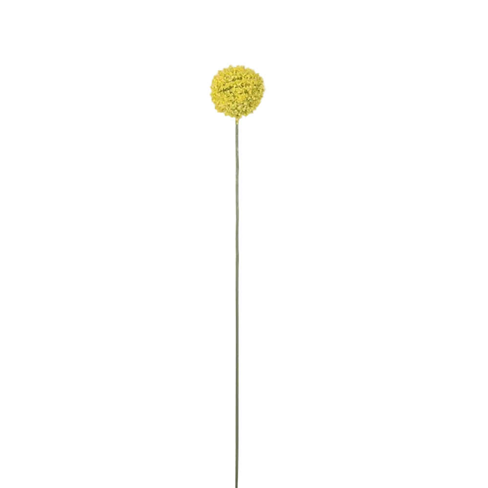 Solbold 38 cm